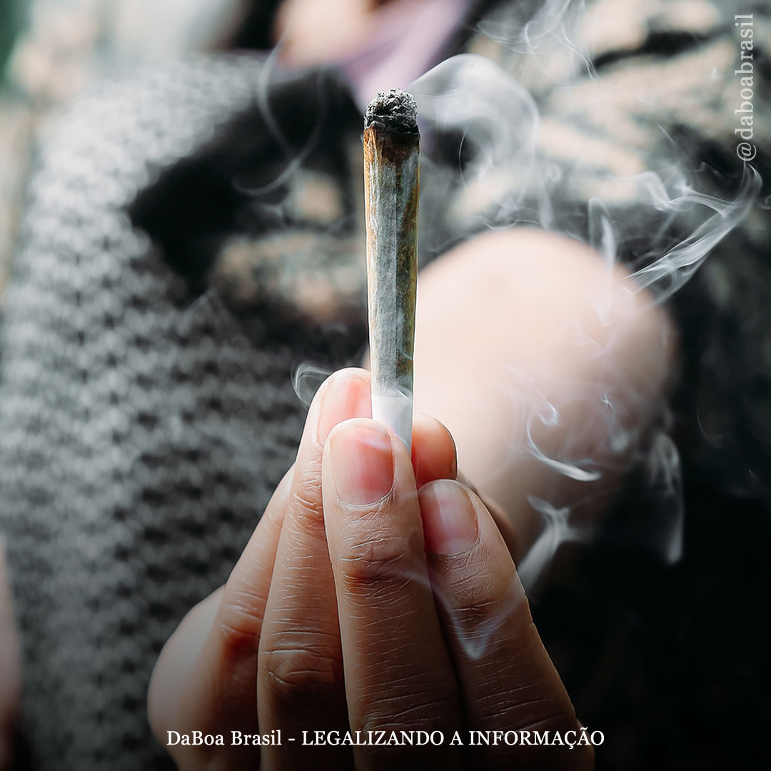 Maconha não transforma as pessoas em preguiçosas e desmotivadas, diz novo estudo