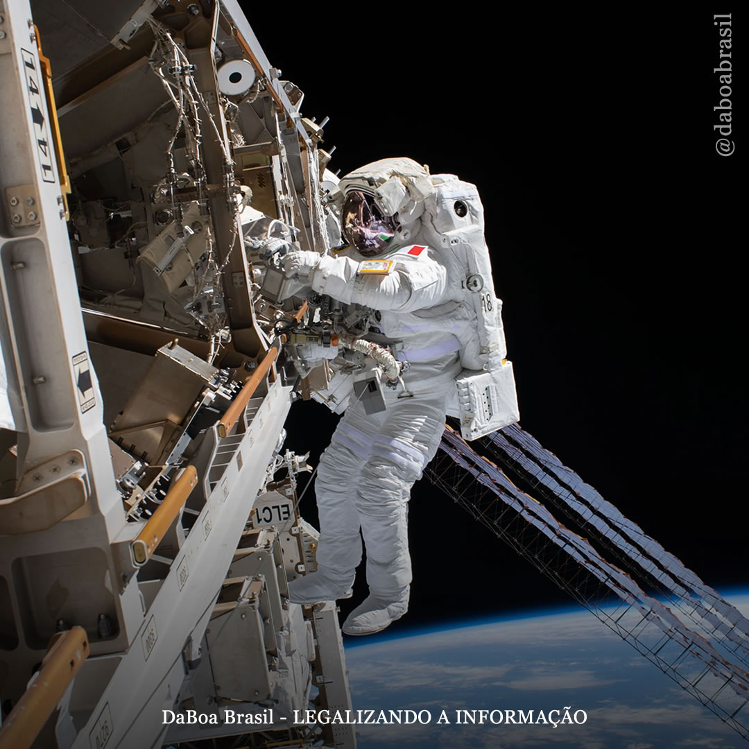 Tomar cogumelos no espaço pode aliviar a depressão dos astronautas, dizem cientistas