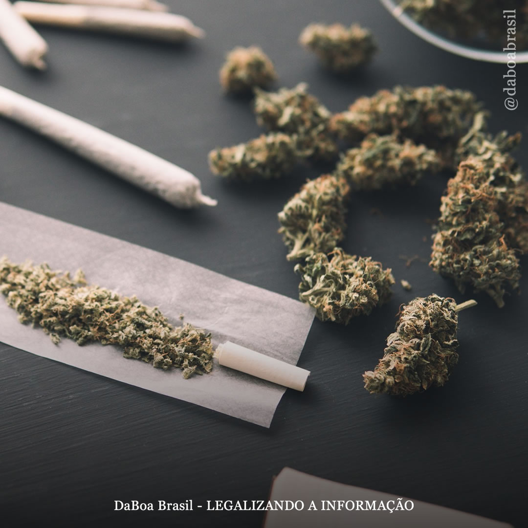 Uso de maconha ligado à menor gravidade dos sintomas da Covid, sugere estudo