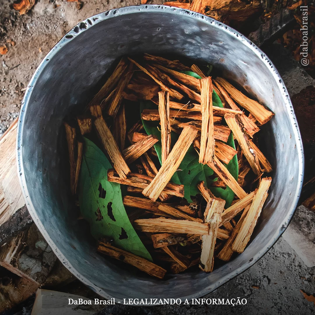 Nova pesquisa explora o DMT como tratamento para o acidente vascular cerebral