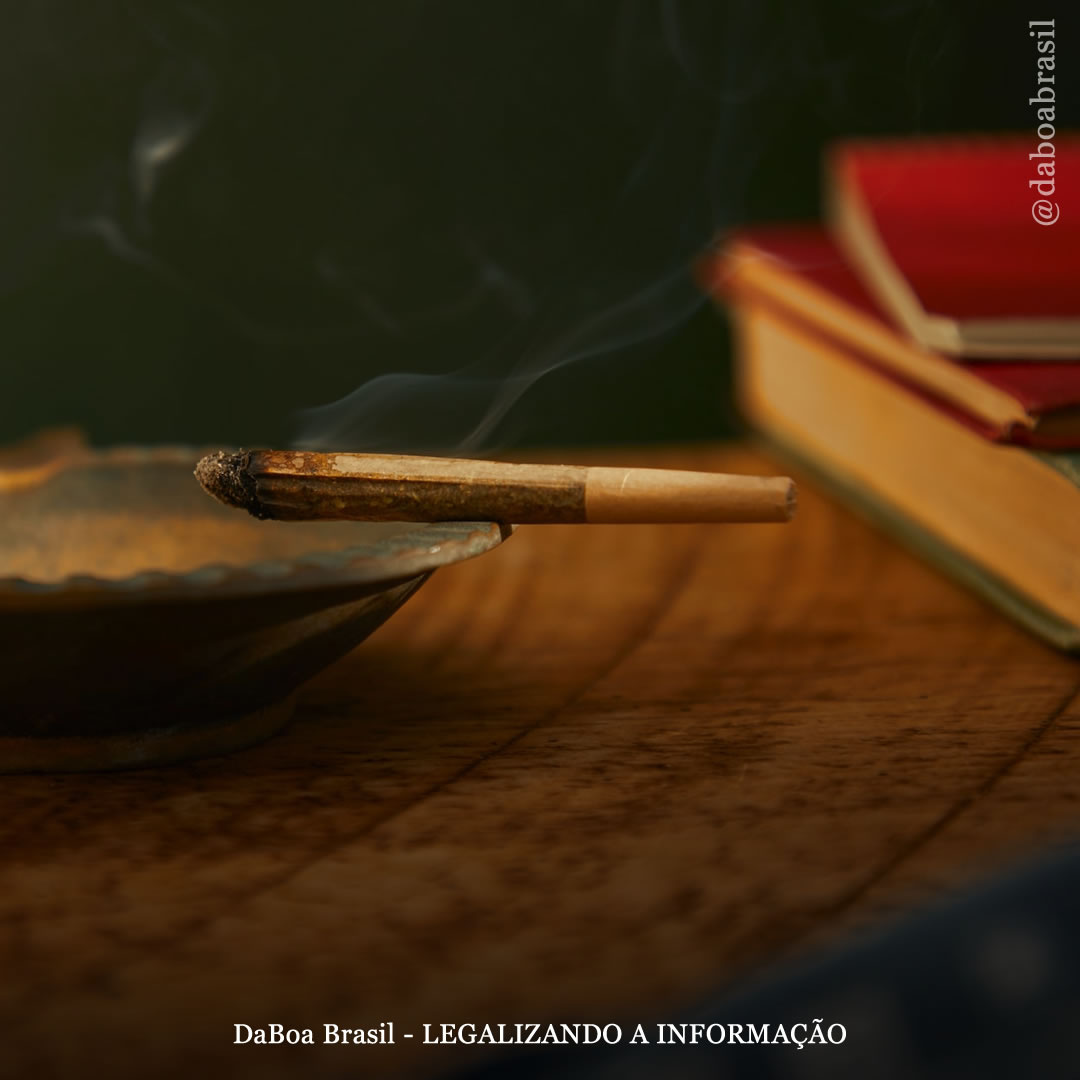 A maconha pode te ajudar a estudar melhor?