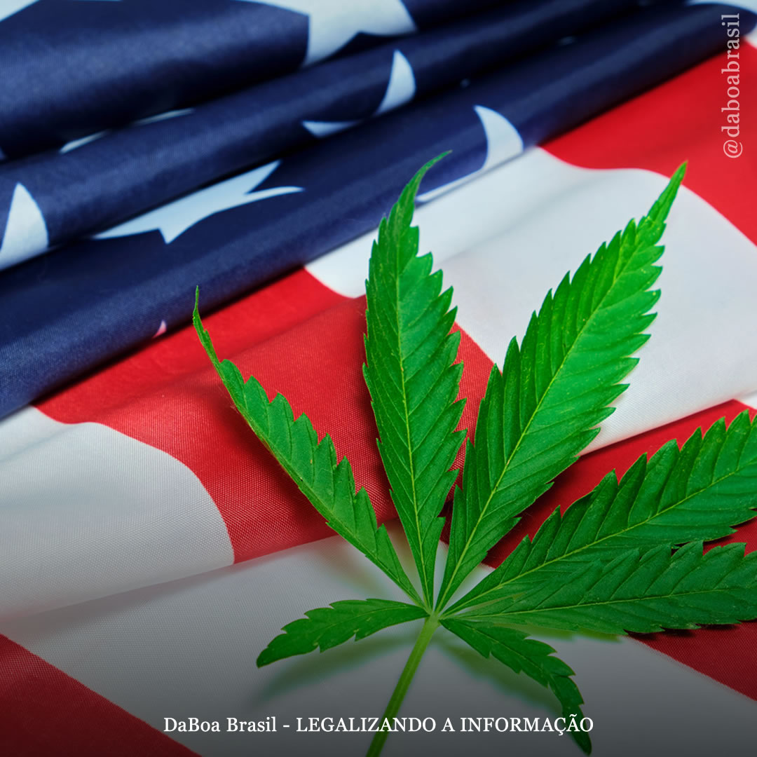 EUA: Maryland e Missouri aprovam a legalização do uso adulto da maconha