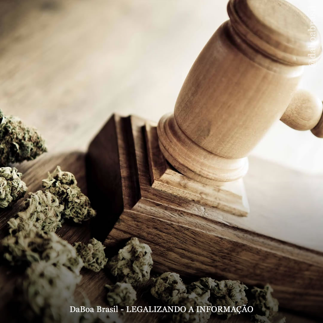 EUA: perdões por crimes relacionados à maconha não libertaram ninguém de prisões federais e nem expurgou registros