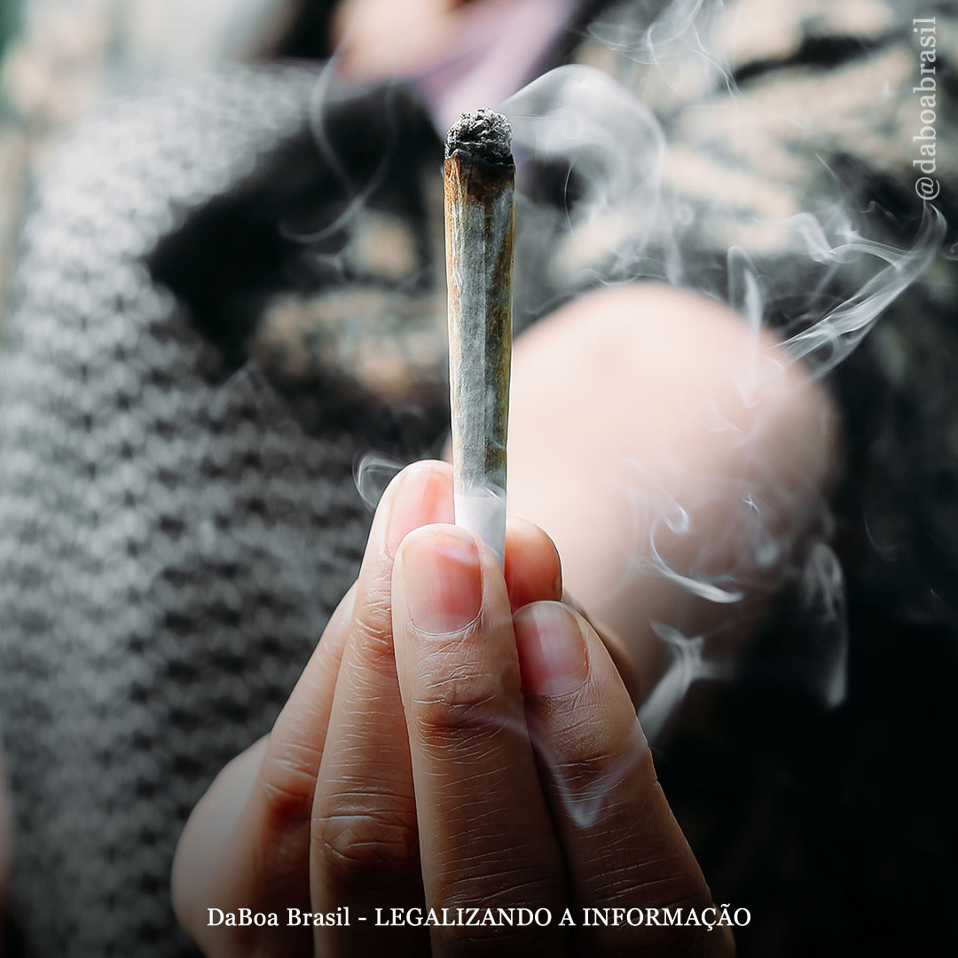 Legalização da maconha não está associada ao aumento de uso por adolescentes, diz novo estudo