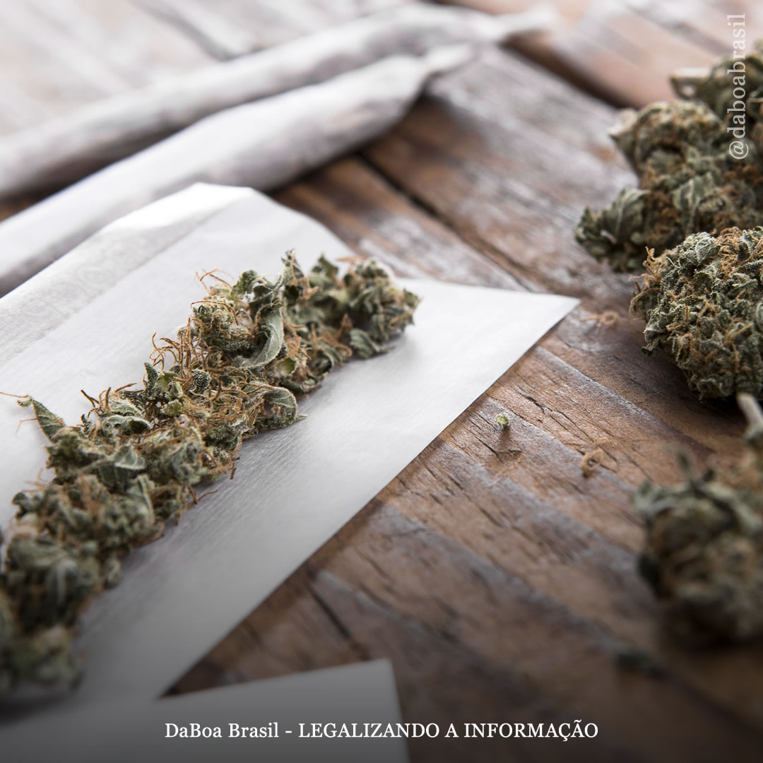 Redução de Danos: guia completo para uma “pausa de tolerância” da maconha