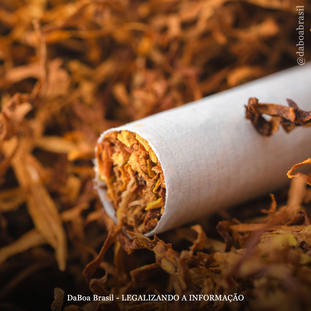 Nova Zelândia proíbe tabaco para gerações mais jovens