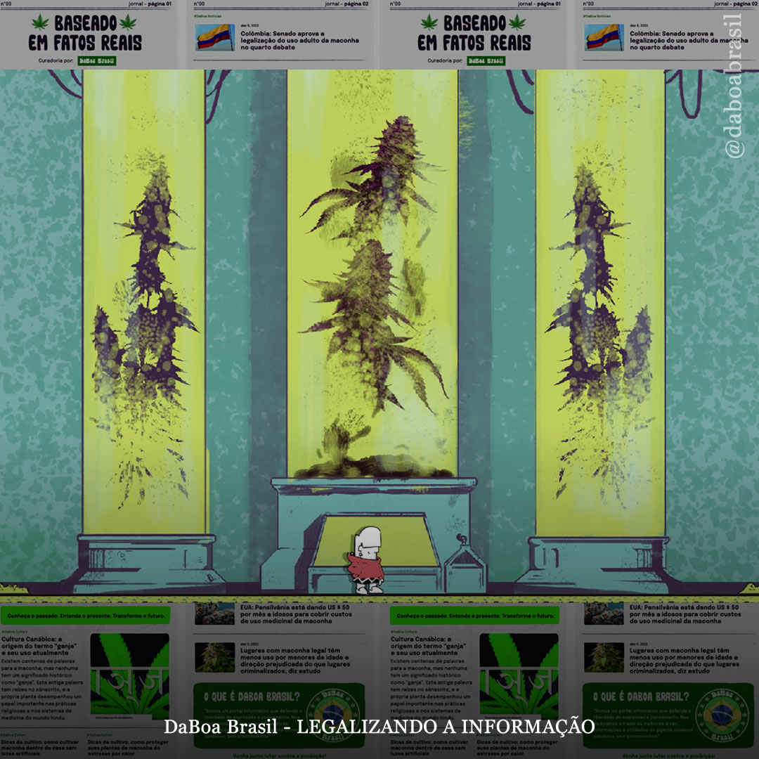 Praçárgada, o primeiro jogo canábico do Brasil, lança financiamento coletivo