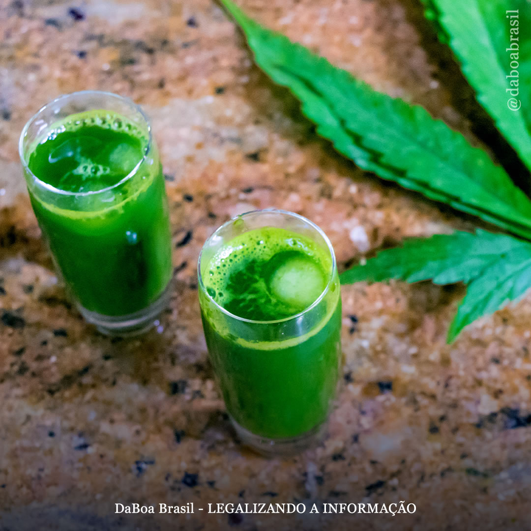 Redução de Danos: como desintoxicar o corpo após o uso da maconha (bebidas detox)