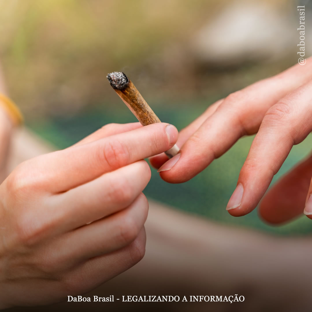 A maconha não é uma droga de entrada e pode até reduzir o uso de álcool, segundo estudo com gêmeos