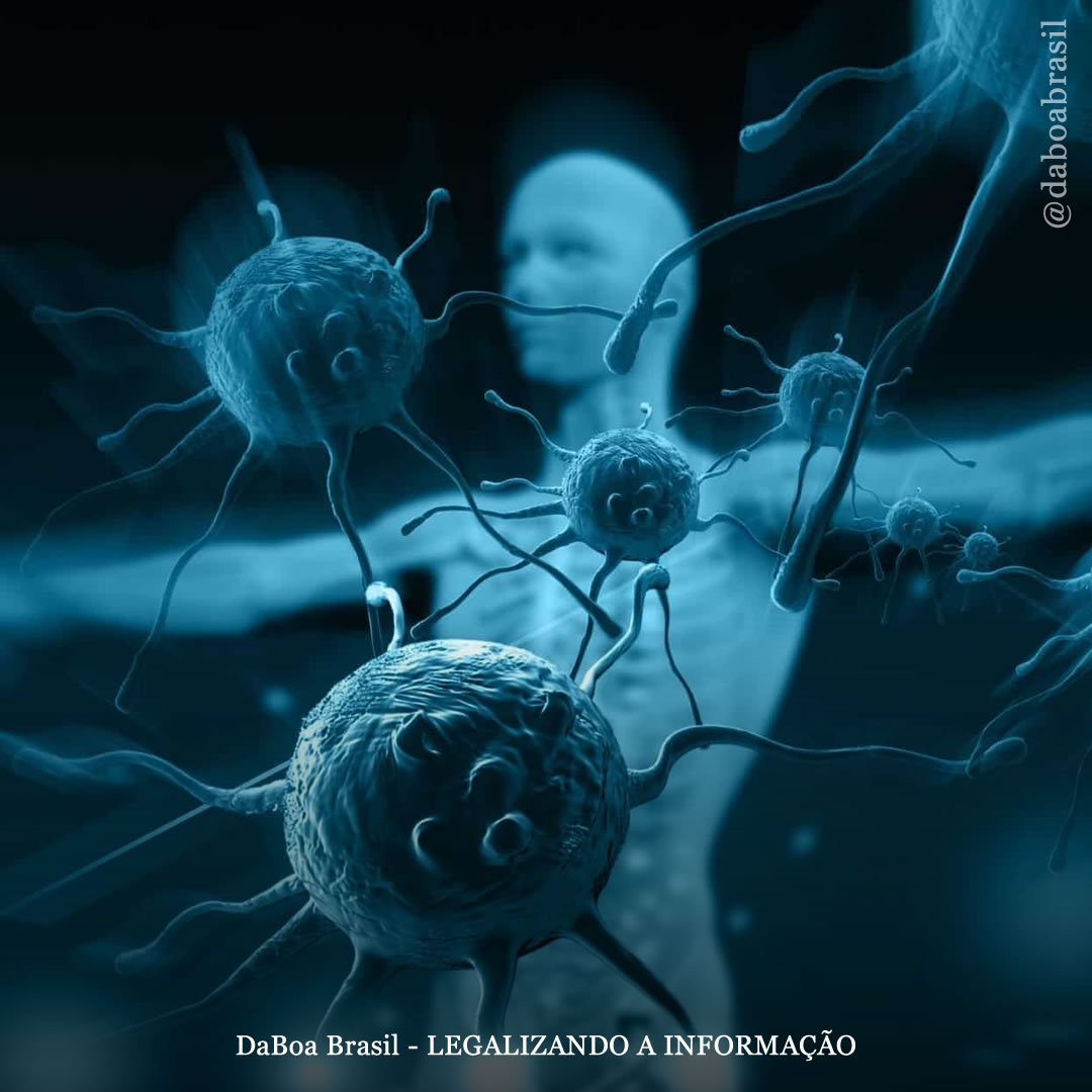 Como a maconha afeta o sistema imunológico?