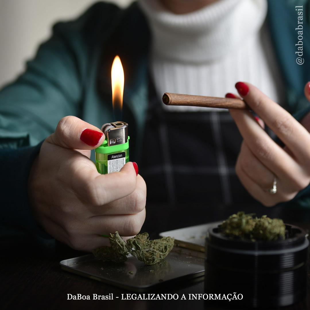 Legalização da maconha não está associada ao aumento das taxas de psicose, segundo estudo