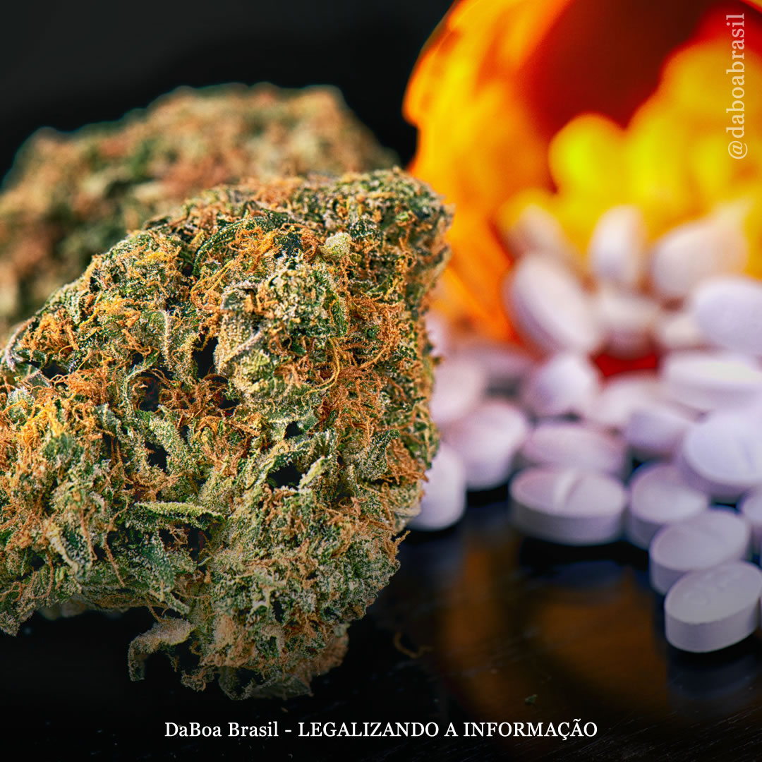 Pacientes com dor estão trocando opioides por maconha, diz estudo