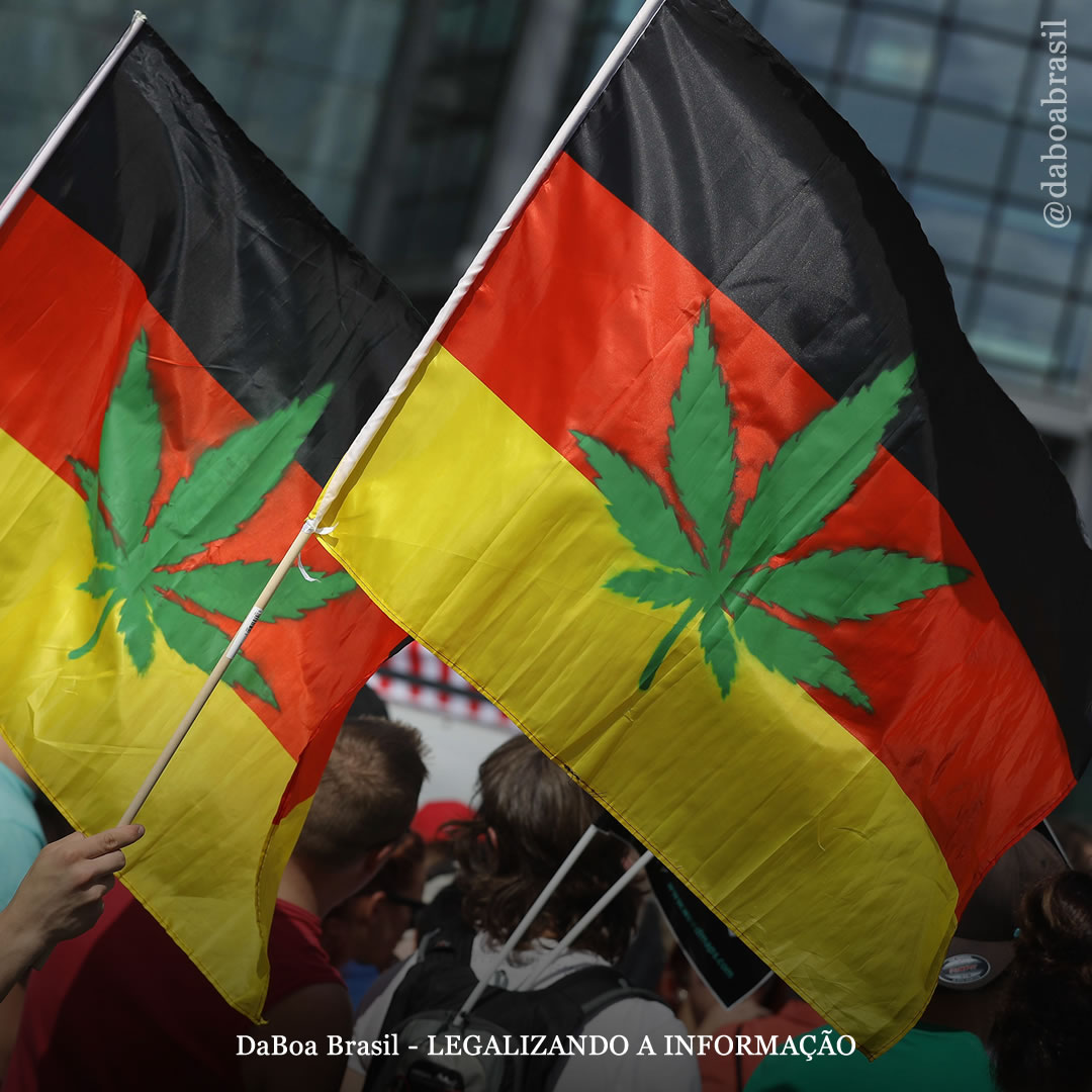 Alemanha propõe adiar a legalização da venda de maconha e priorizar a descriminalização