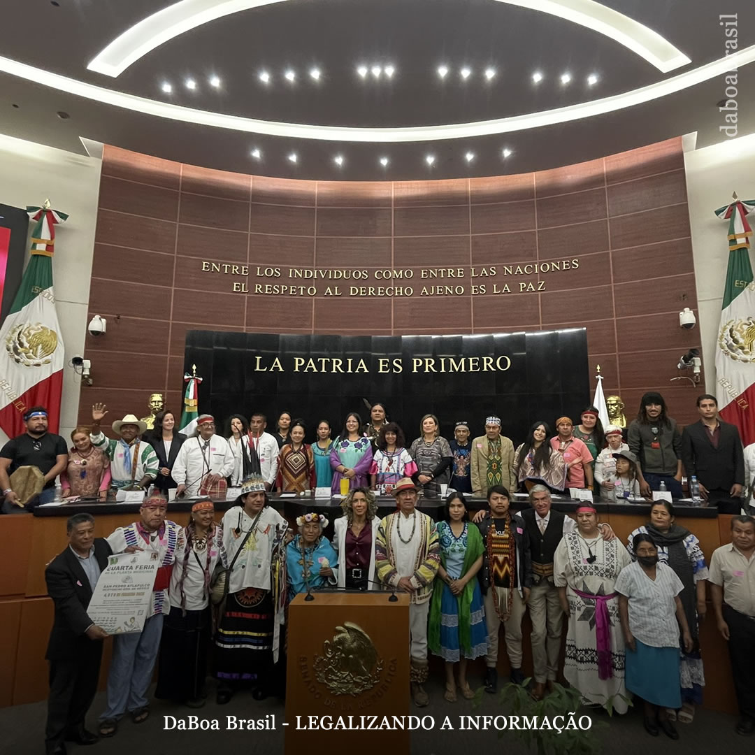 México caminha para a legalização dos cogumelos psilocibinos