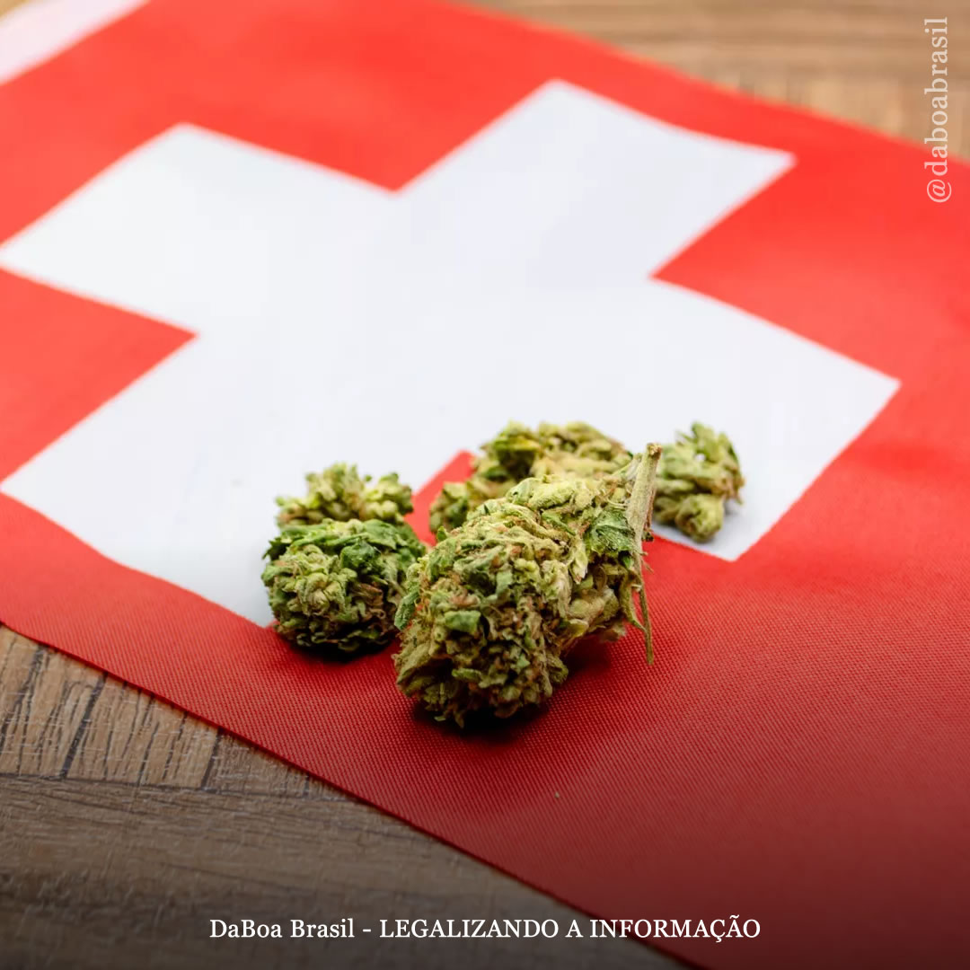 Suíça inicia programa piloto de legalização do uso adulto da maconha