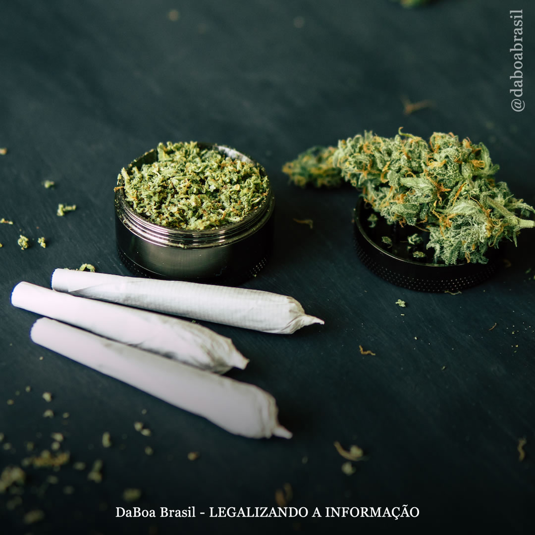 Tendências de uso de maconha entre adolescentes diminuem à medida que mais lugares legalizam, revela pesquisa
