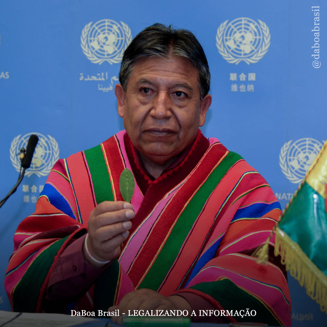 Bolívia: vice-presidente anuncia na ONU que tentará acabar com a proibição da folha de coca