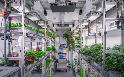 Empresa vai cultivar cannabis na Estação Espacial Internacional