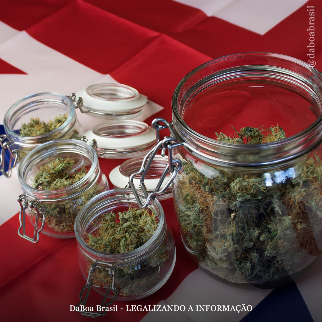 Governo britânico escondeu relatório oficial que recomendava a descriminalização das drogas