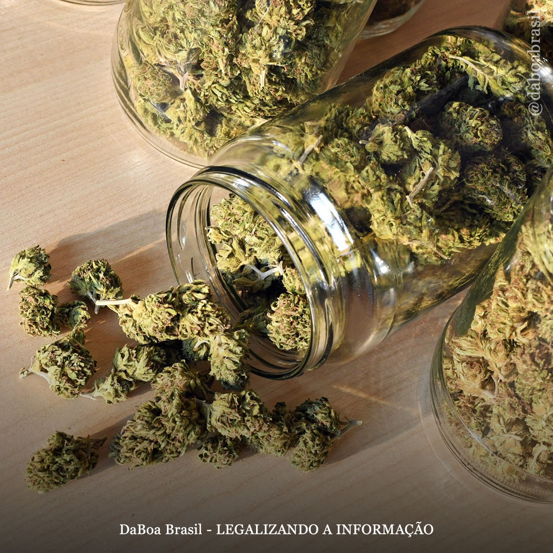 Delaware acaba de se tornar o 22º estado dos EUA a legalizar o uso adulto da maconha