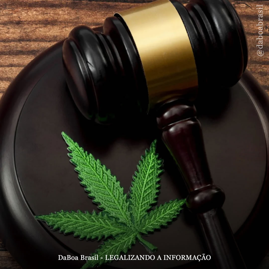 Descriminalização, Legalização e Regulamentação: entenda a diferença