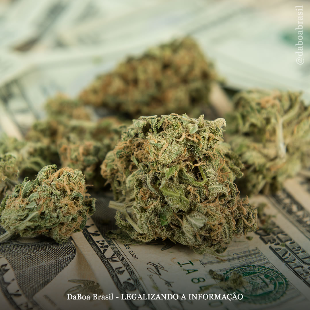 EUA: Califórnia concede mais de US $ 50 milhões em subsídios de reinvestimento comunitário financiados por impostos da maconha