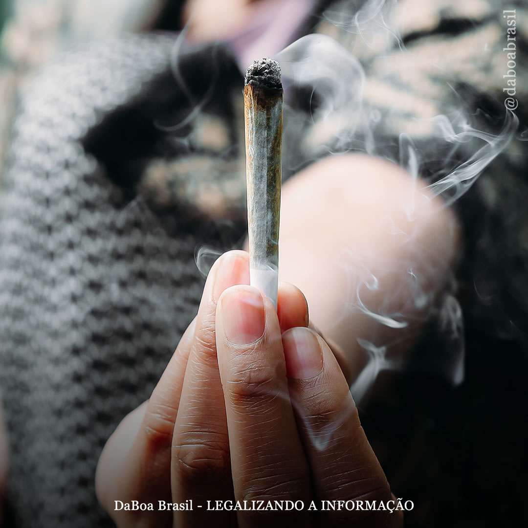 A maconha é mais segura que o álcool e os cigarros e é menos viciante que a tecnologia, de acordo com pesquisa