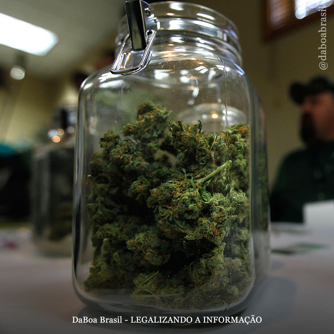 EUA: Colorado aprova projeto de lei para permitir vendas online de maconha