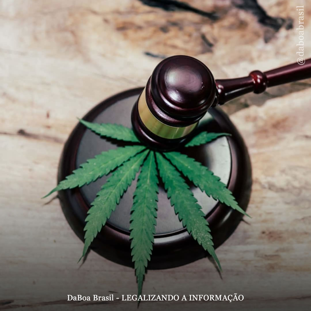 EUA: Washington gasta US $ 100 milhões para anular 350.000 condenações por maconha e outras drogas e reembolsar pessoas criminalizadas por lei inconstitucional