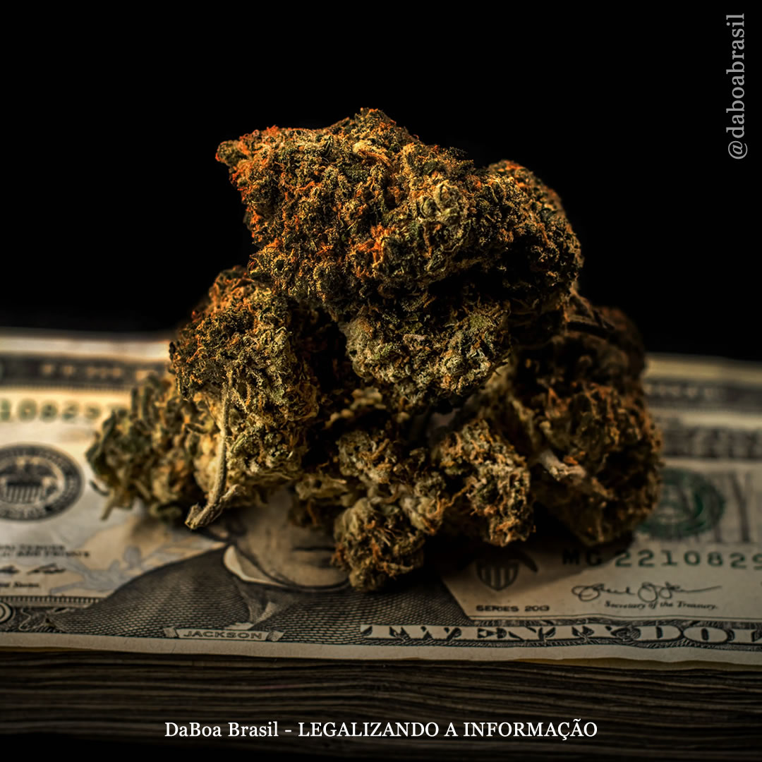 EUA: vendas de maconha para uso adulto superaram as vendas para uso medicinal em Connecticut