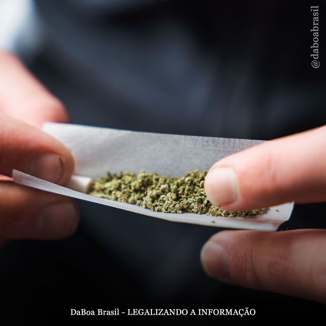 Uso de maconha associado a menor risco de doença hepática, diz estudo