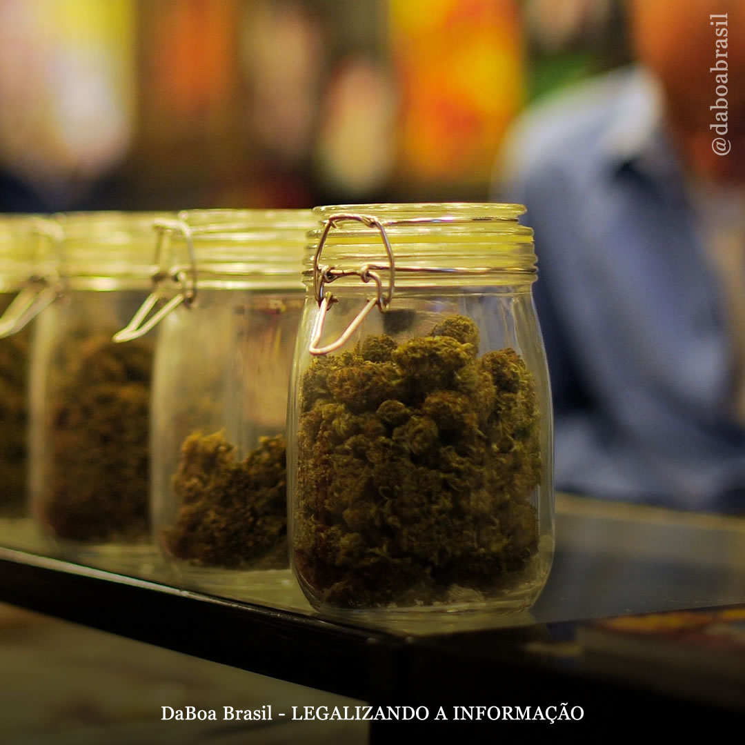 EUA: legalização da maconha em Maryland entra em vigor com o lançamento das vendas para uso adulto