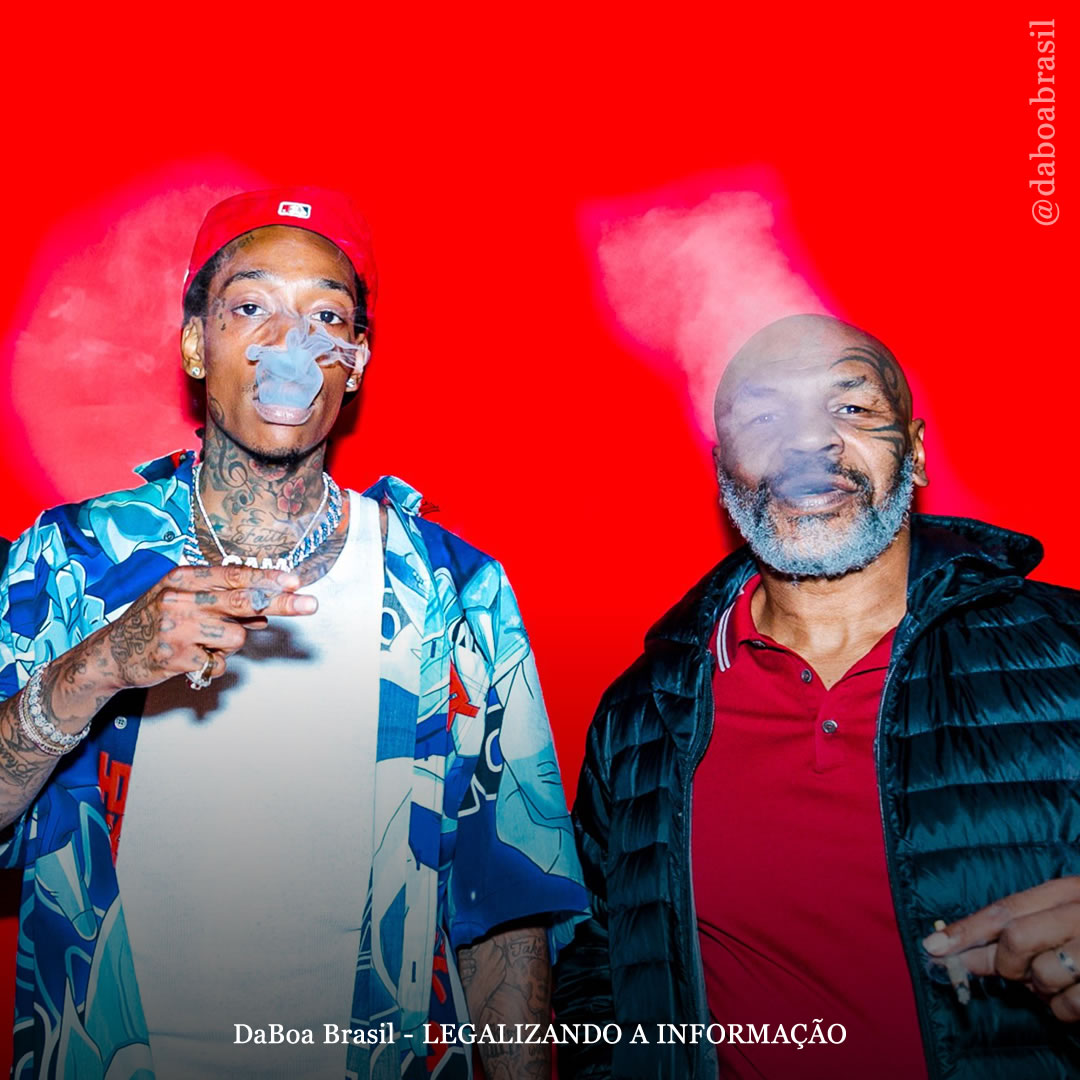 EUA: marcas de maconha de celebridades estão vendendo mais que marcas tradicionais da Califórnia