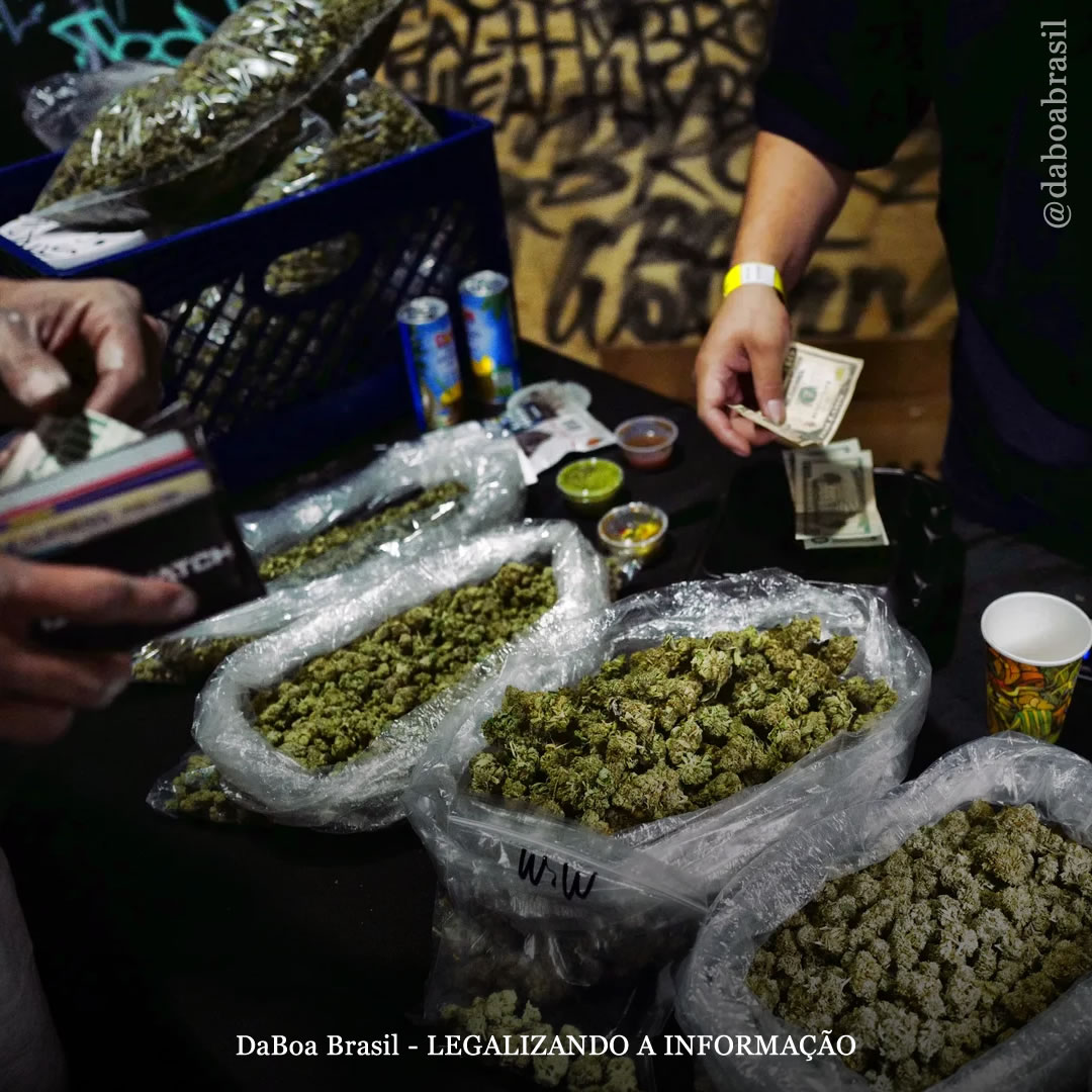 Nova York aprova mercados agrícolas e feiras de maconha e duplica licenças de dispensários