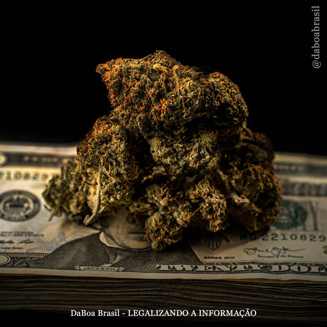 EUA: a maconha no Colorado está gerando mais receitas fiscais do que bebidas alcoólicas e tabaco