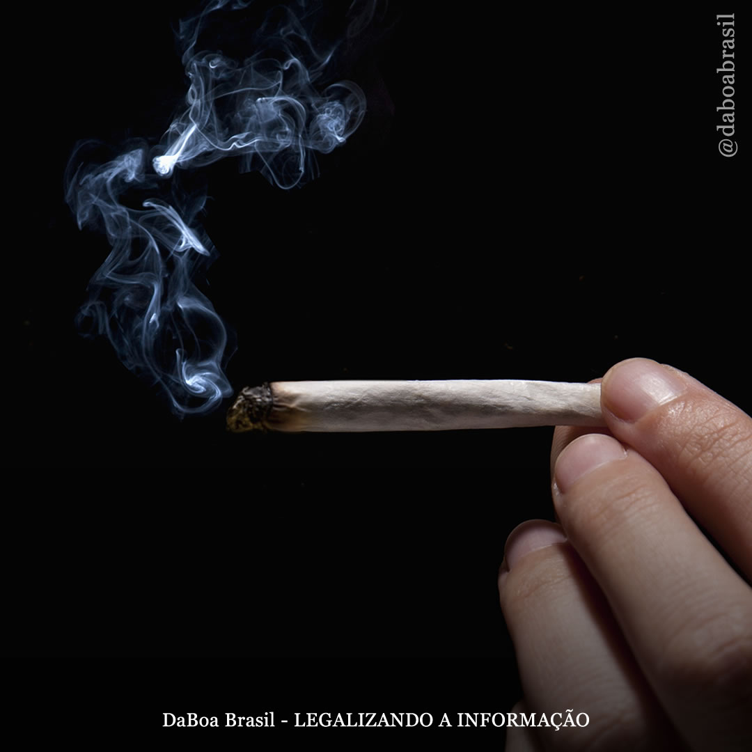 Jovens em risco de psicose viram sintomas melhorarem ‘surpreendentemente’ com o uso de maconha, revela estudo