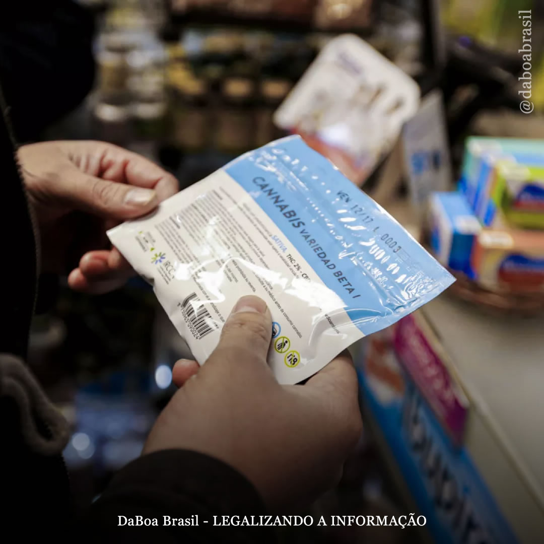 Uruguai vendeu mais de 10 milhões de gramas de maconha desde o começo das vendas para uso adulto há seis anos