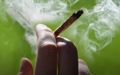 EUA: uso adulto de maconha supera o consumo de tabaco, de acordo com pesquisa