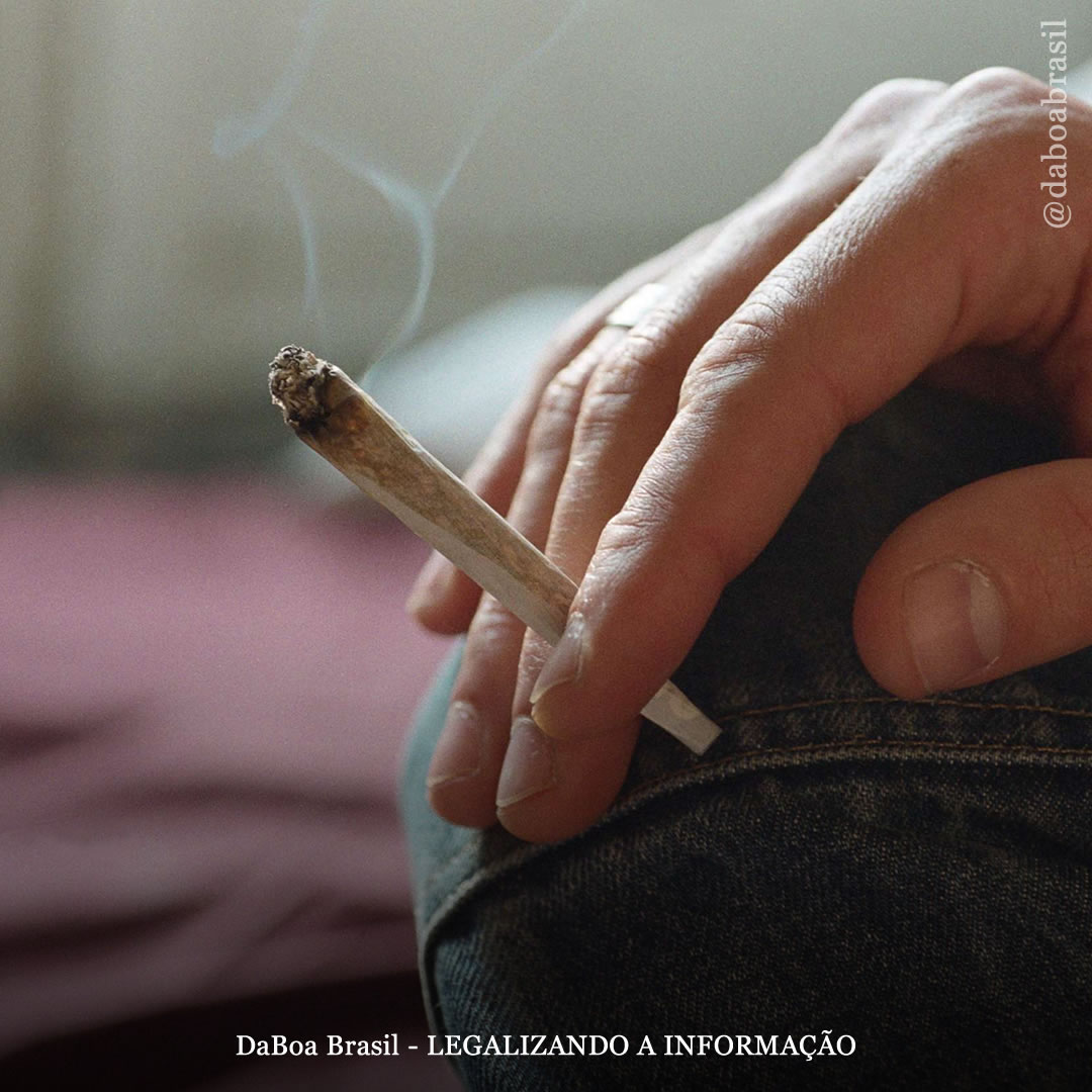 Jovens adultos tiveram “reduções significativas” no uso de maconha após a legalização, conclui estudo