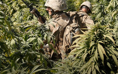 Países ricos doaram mais de US $ 1 bilhão para a guerra global às drogas, mostra novo relatório