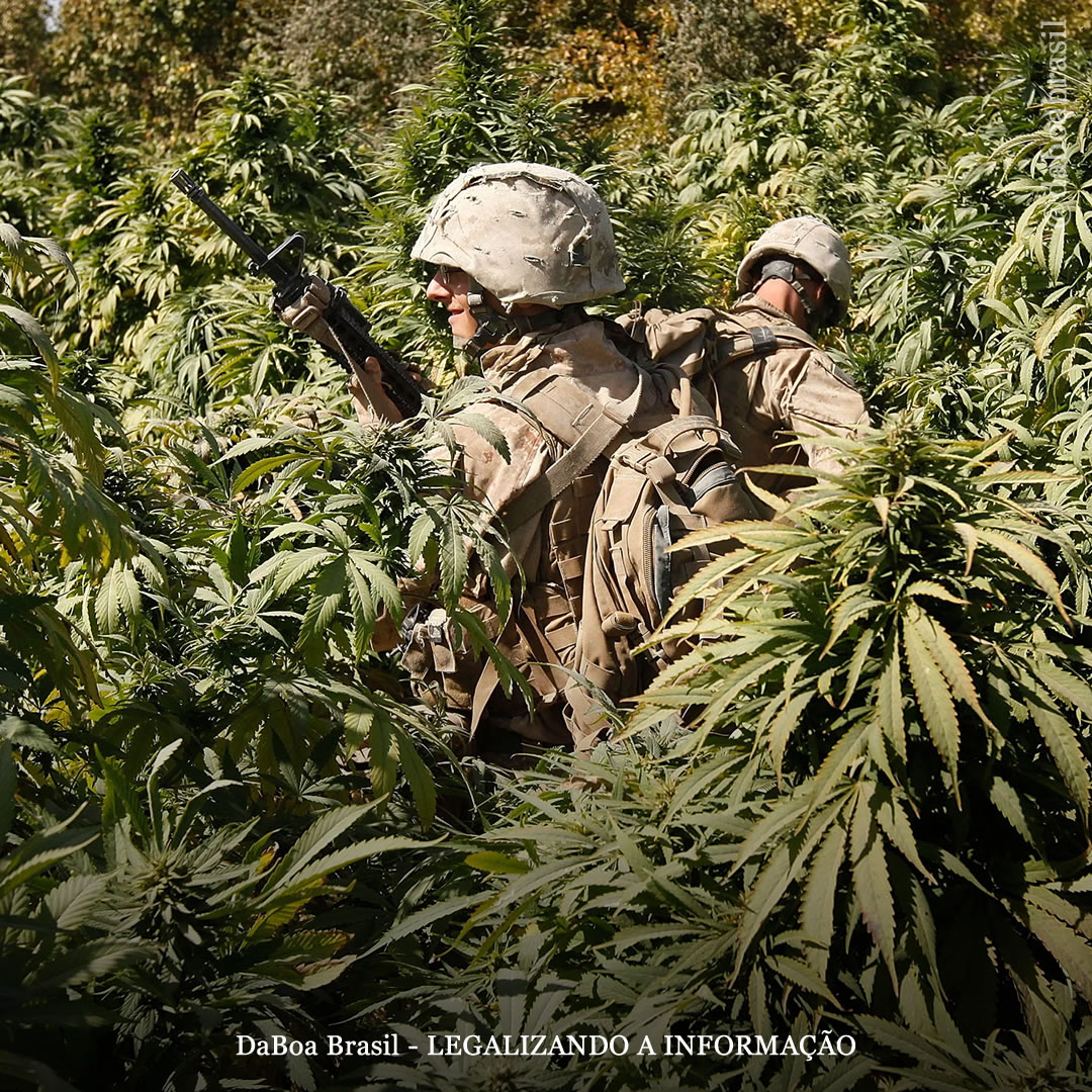 Países ricos doaram mais de US $ 1 bilhão para a guerra global às drogas, mostra novo relatório