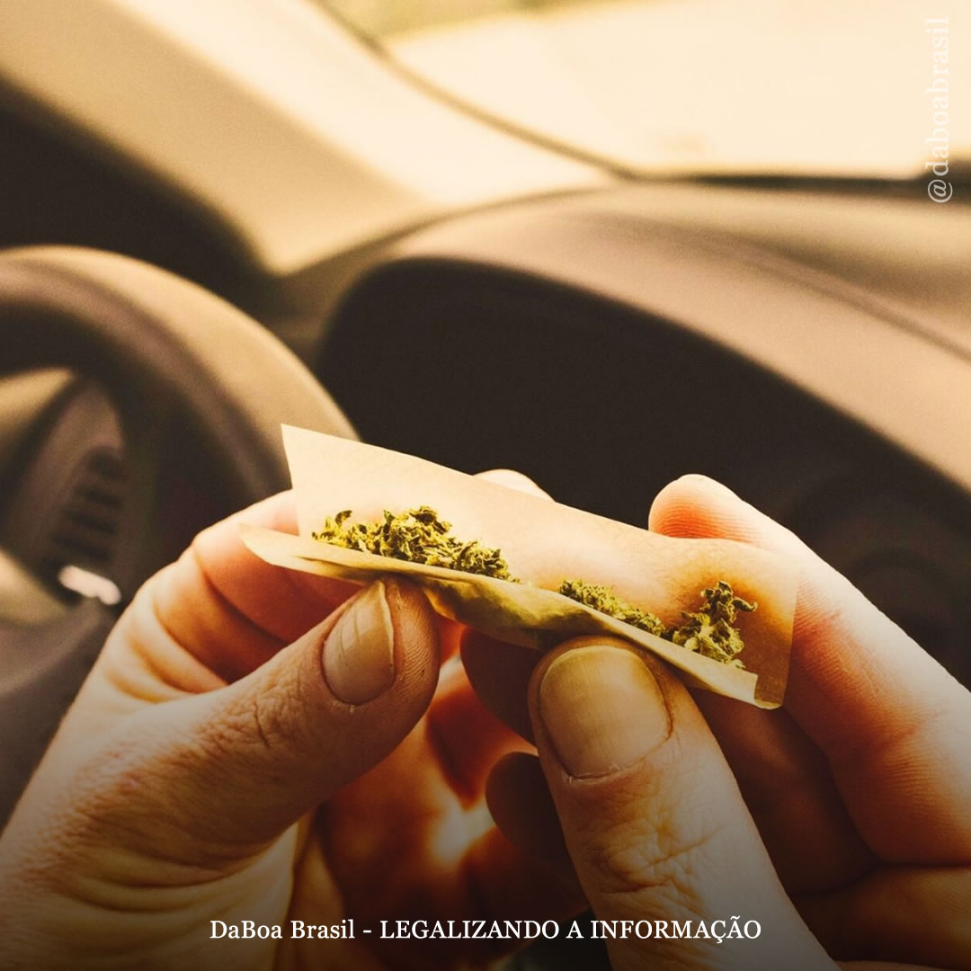 Legalização da maconha não está relacionada com aumento de fatalidades no trânsito, diz estudo