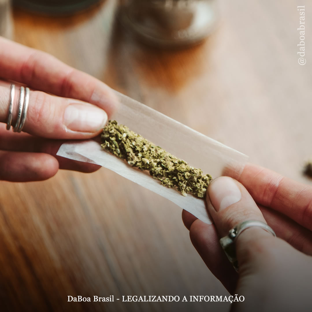 Não há associação entre uso de maconha e risco cardiovascular elevado, diz estudo