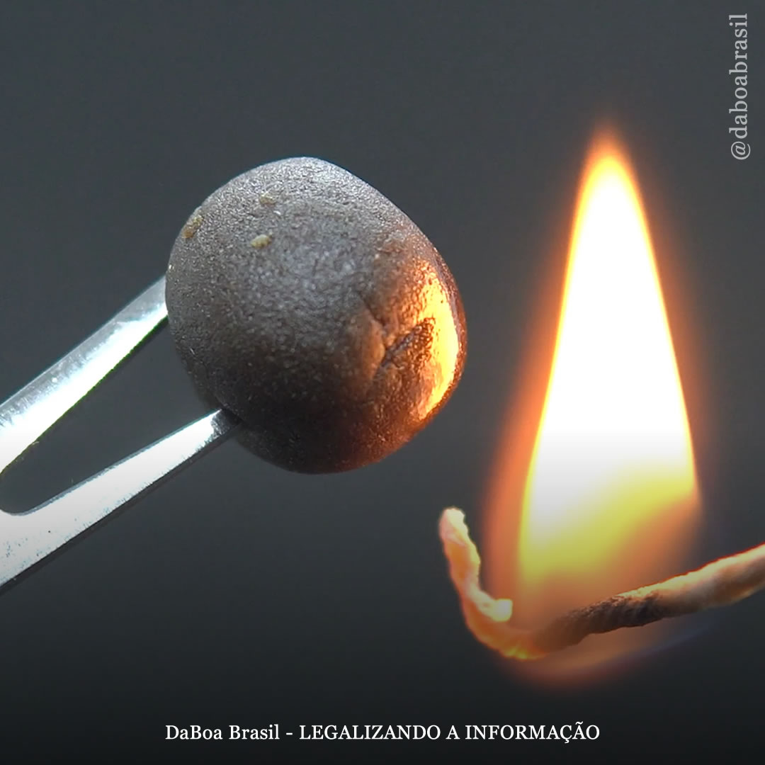 Redução de Danos: como identificar um haxixe de má qualidade