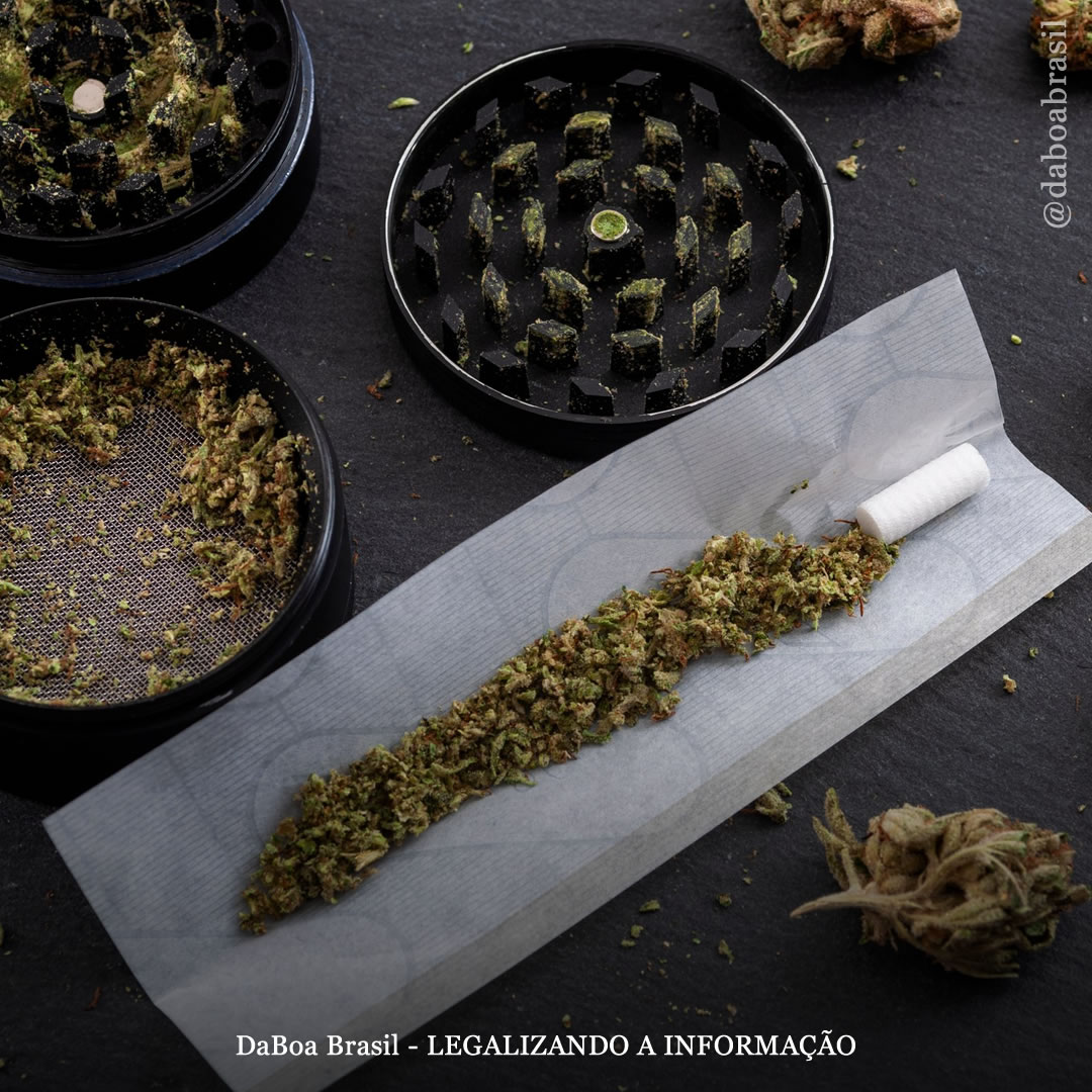 Cultura Canábica: a história do papel para enrolar baseados (seda)