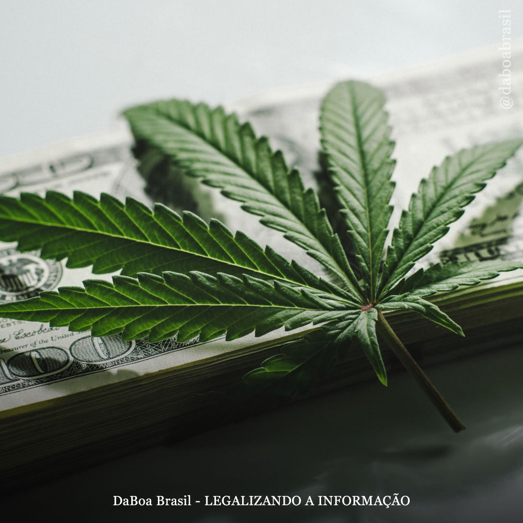 EUA: vendas de maconha para uso adulto em Connecticut atingem novo recorde em outubro, enquanto vendas para uso medicinal continuam a diminuir