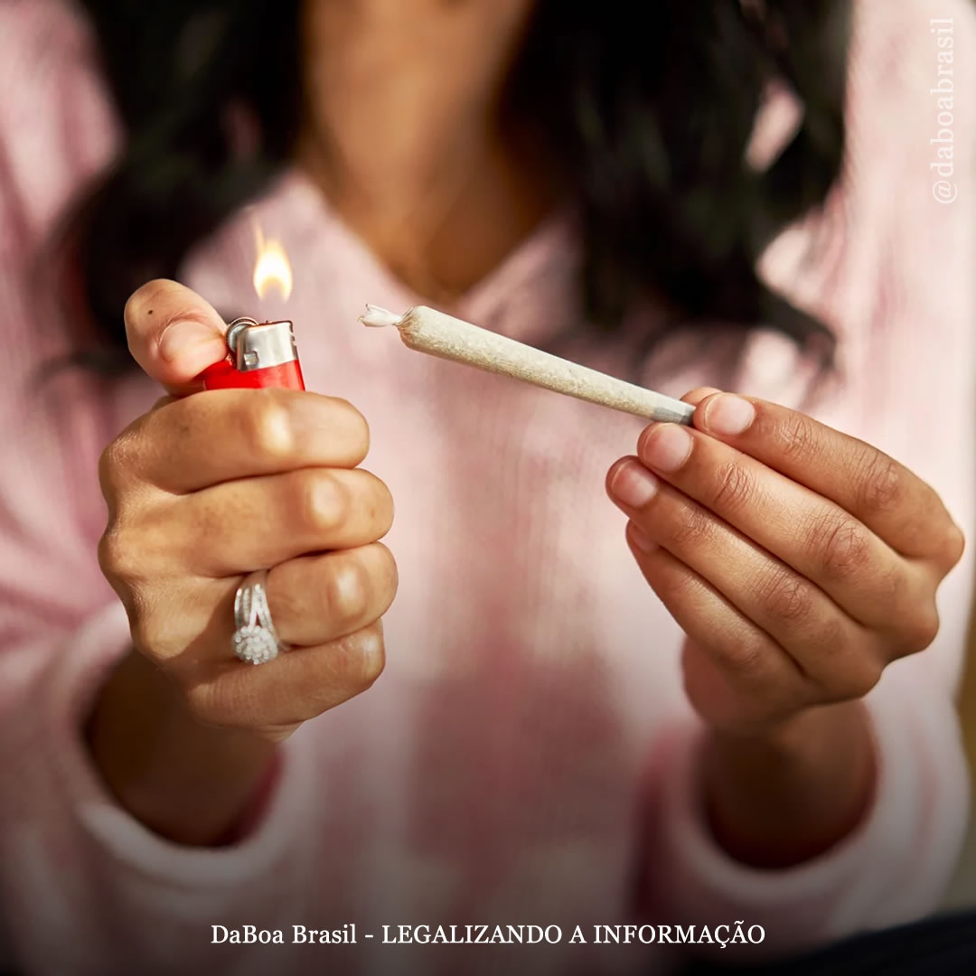Lugares legalizados apresentam taxas “significativamente” mais baixas de casos de transtorno por uso de maconha em comparação com locais não legalizados, conclui estudo