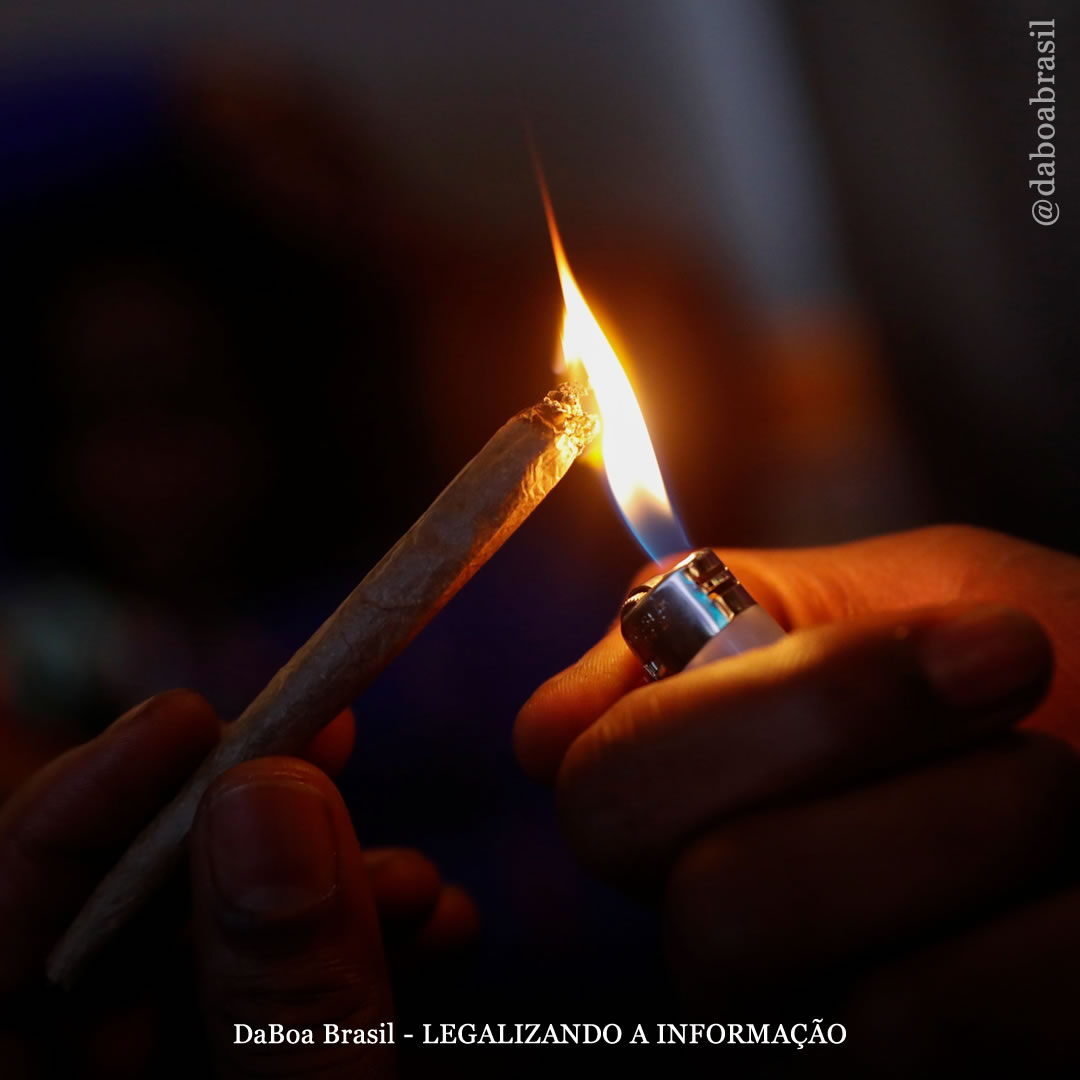 Canadá: jovens dizem que é mais difícil ter acesso à maconha após a legalização para uso adulto