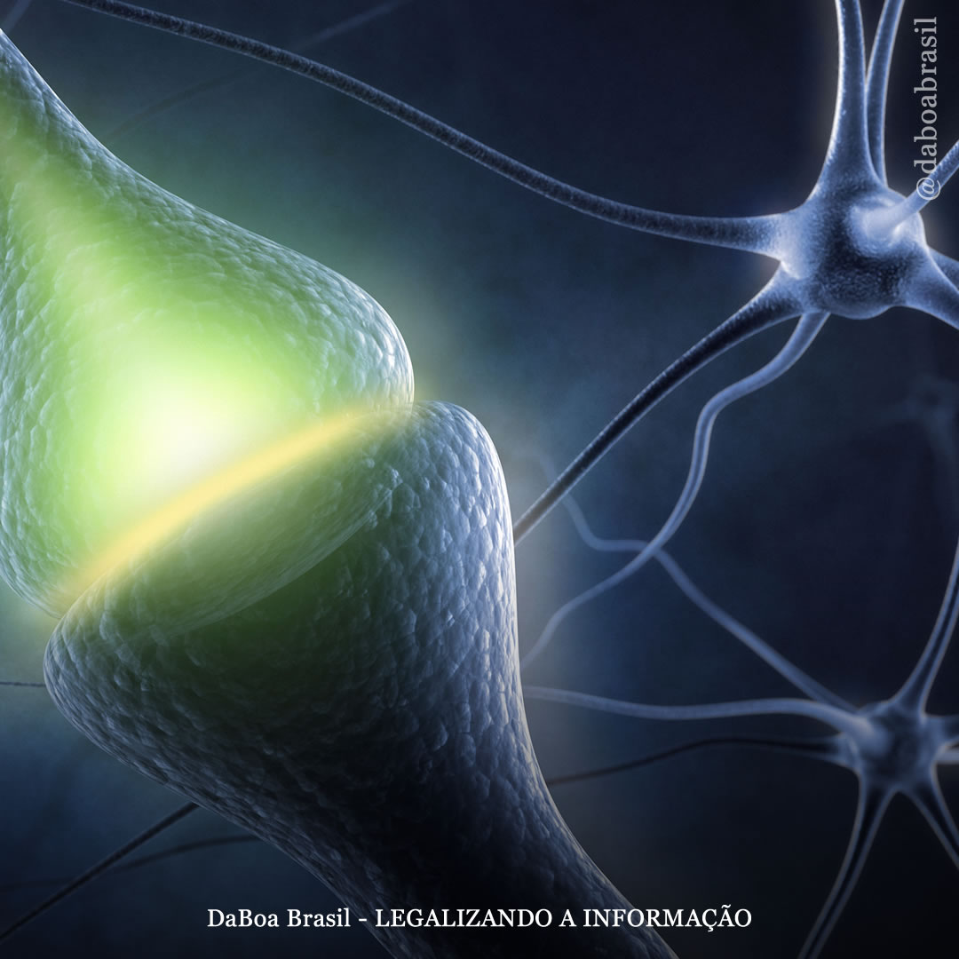 Cinco maneiras de impulsionar o sistema endocanabinoide (sem fumar maconha)