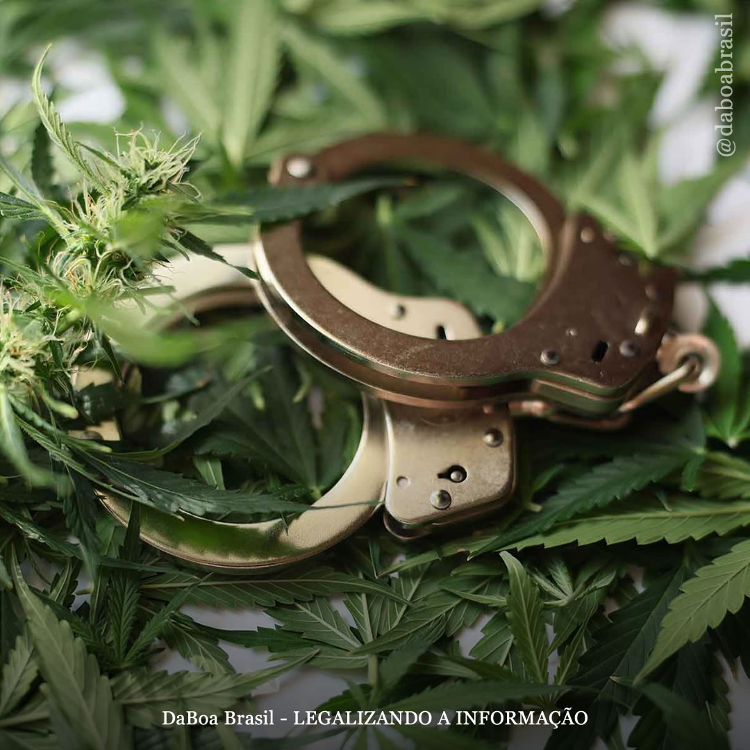 EUA: Missouri elimina 100.000 crimes relacionados à maconha no primeiro ano de legalização